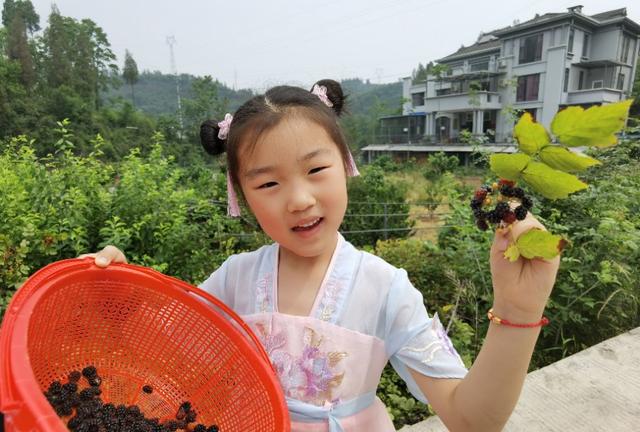 湖北宜都：农家自办“三红”小采摘节美味emc易倍综合平台鲜果逗人爱(图1)