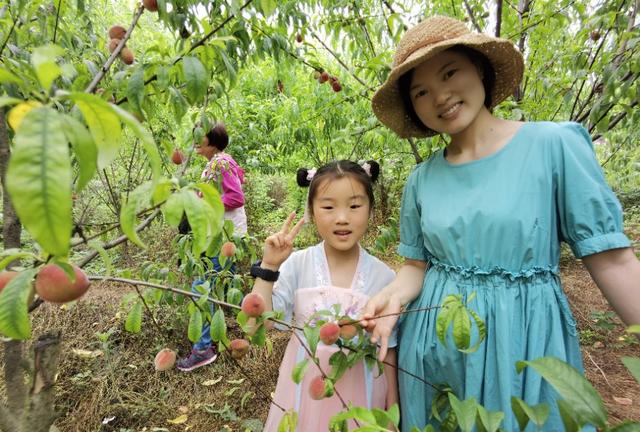 湖北宜都：农家自办“三红”小采摘节美味emc易倍综合平台鲜果逗人爱(图8)