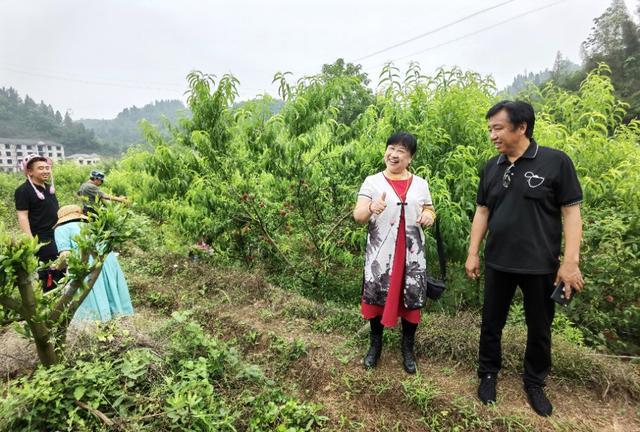 湖北宜都：农家自办“三红”小采摘节美味emc易倍综合平台鲜果逗人爱(图9)