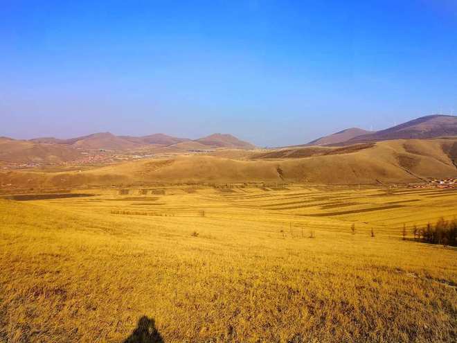 甘肃黄草坪碧空如洗、白云悠悠遍地emc易倍体育在线登录黄花盛开让人如痴如醉。(图5)