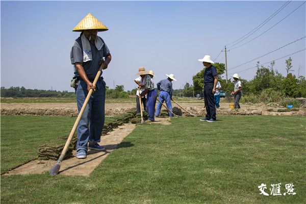 emc易倍体育官方入口走向我们的小康生活｜西冯草坪“接电飞行”(图4)