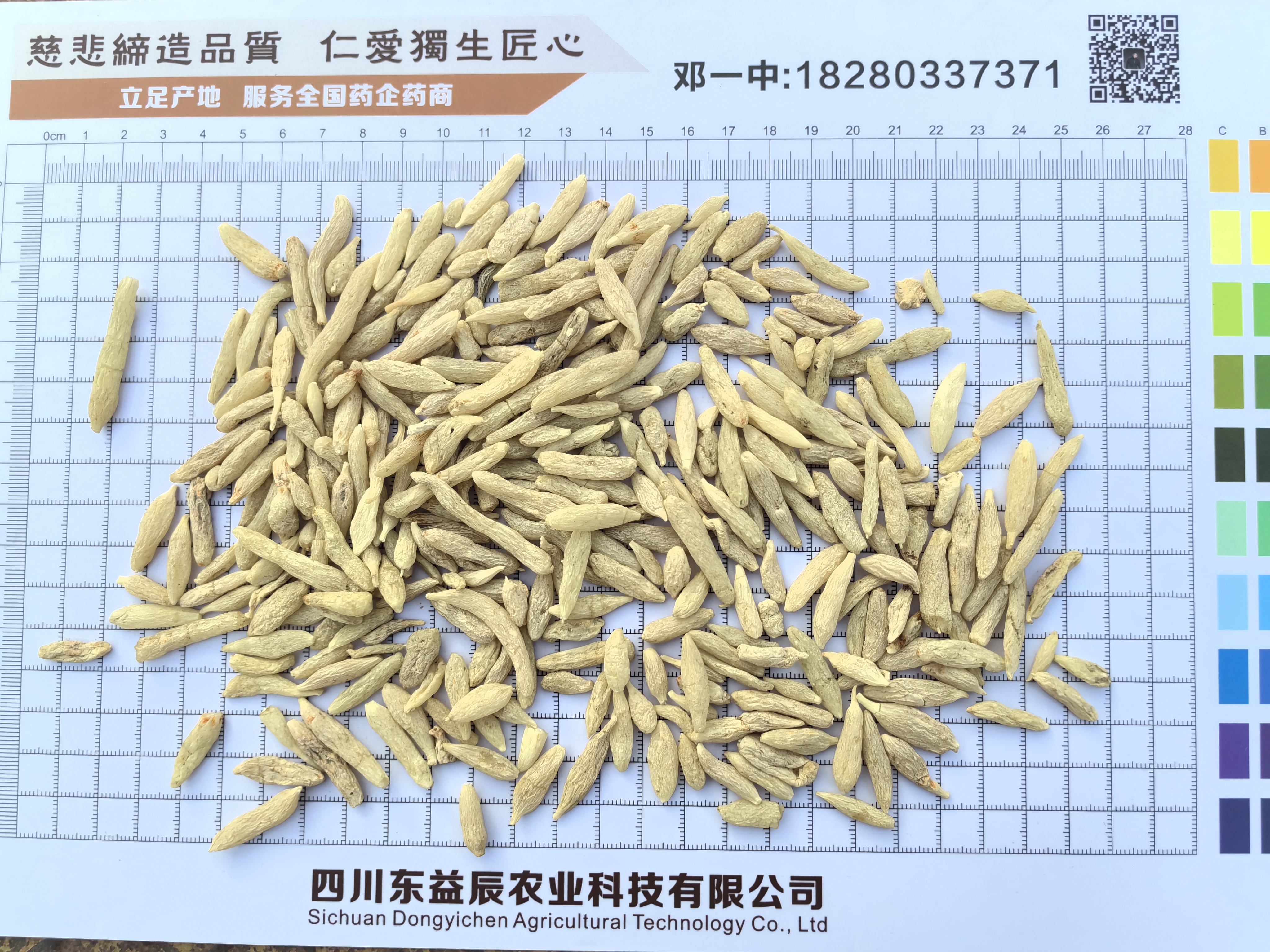 emc易倍·体育四川省绵阳市三台县麦冬已开始产新产地新货上市(图1)